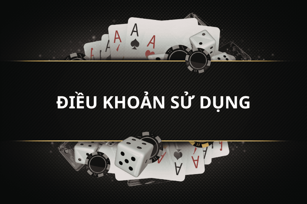 điều khoản sử dụng Nhà Cái Việt